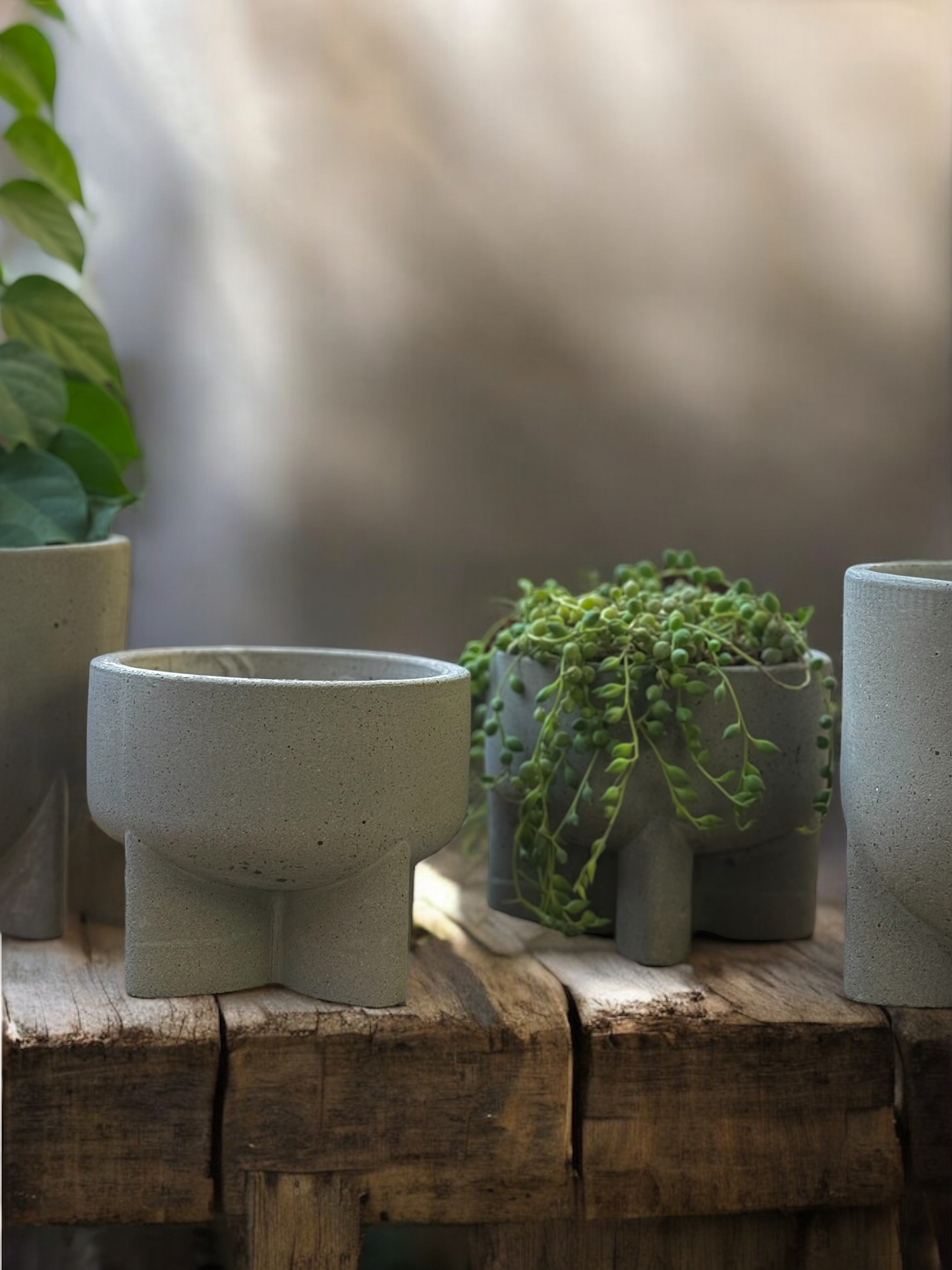 Bare Como Vessels