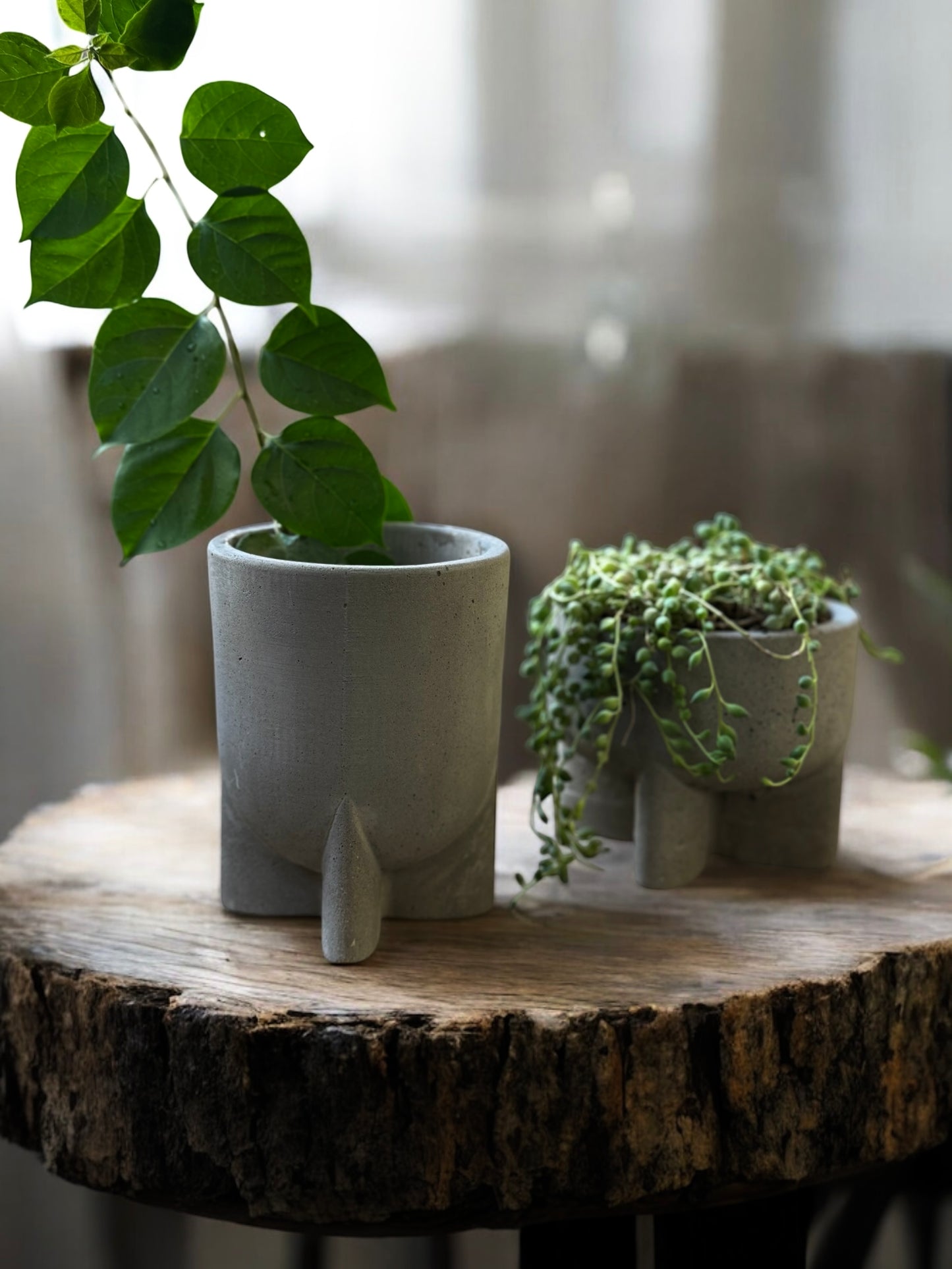 Bare Como Vessels